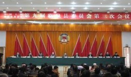 临泉县最近爆料新闻视频